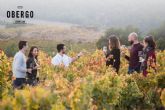 Visitar la bodega de Obergo o una experiencia singular en el Somontano