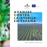 LIFE Resilience afronta su ltima etapa con grandes avances contra la Xylella en Espana