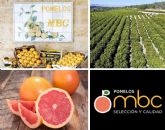 POMELOS MBC obtiene el certificado de calidad empresarial CEDEC y reafirma su colaboracin con la consultora