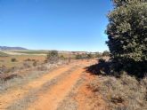 Las Canadas Reales: Ganadera y biodiversidad en la Sierra Norte de Guadalajara