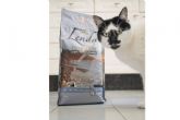 La comida natural para gatos de Lenda y sus beneficios