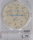 Compact DryC LM, placa cromognica para deteccin y recuento de L. monocytogenes en alimentos y otros