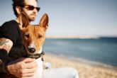 Adoptar perros en verano, una forma para evitar que las protectoras colapsen