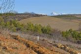 El papel de los bosques en la absorcin de CO2