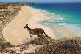 Todo lo necesario para estudiar en Australia