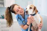 Curso de Auxiliar Veterinario de la mano de VetFormacin