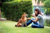 Trabajar el comportamiento de los animales de compana con refuerzo positivo, con Antrozoologa