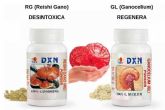 Las propiedades de Ganoderma Lucidum para mejorar la salud, por La Tienda de Cristbal