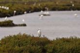 ?Por qu elegir sal marina ecolgica?