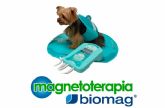 Magnetoterapia Biomag explica qu es y cmo funciona la magnetoterapia veterinaria