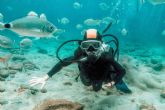 ?Por qu el buceo en Koh Tao se ha convertido en una tendencia?, por Nitro Koh Tao