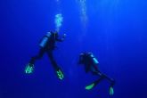 Diveasapp presenta cules son los mejores cursos de buceo en Espana