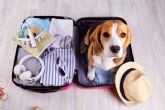 La importancia de contar con un seguro de viaje para mascotas, por Coverontrip