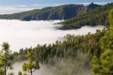 Vivir experiencias inolvidables en Canarias, planificando un viaje