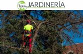 La Tierra Jardinera: Poda de rboles altos, mejor acudir a expertos