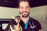 ?Por qu es importante la esterilizacin animal?, por el Hospital Veterinario El Bosque