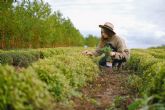 Espana, uno de los pases lderes de Europa en emprendimiento rural y verde de las mujeres