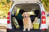 Aspectos a tener en cuenta cuando se viaja con un perro