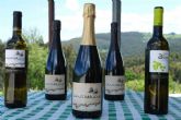 Enoturismo en Cantabria, de la mano de Bodegas Vidular