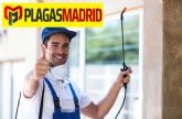 Plagas Madrid explica los factores a considerar al elegir una empresa de control de plagas