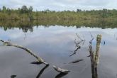 Laguna Quemchi, una compana enfocada en la comercializacin de terrenos en el sur de Chile