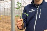 CapGen Seeds se encarga de la investigacin, desarrollo e innovacin en semillas hortcolas