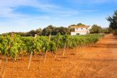 Consejos para acertar al alquilar una casa de campo rural (agroturismo) en Mallorca