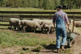 Agricultura, Pesca y Alimentación inicia consulta pública sobre la mesa de coordinación de bienestar animal