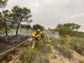 Efectivos adscritos al Plan Infomur trabajan en los incendios forestales declarados por la cada de rayos en varias zonas de la Regin de Murcia