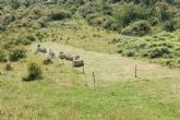 Apcola del Bierzo, la miel de la excelencia