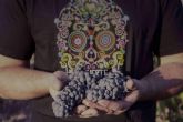 La uva Monastrell, la joya enolgica de los vinos de DEMUERTE WINES