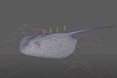 ?Dnde encontrar un mster online en Rigging de la mano de los expertos en animacin 3D? Universal Arts School