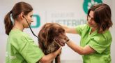 ?Cules son 6 de los mejores cursos de veterinaria para encontrar empleo en el sector? de la mano de MasterD