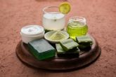 Aloe, el secreto elixir del verano que nutre, protege y embellece