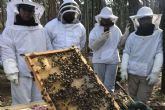 ?En qu consiste la polinizacin de las abejas?, con Cursos Apicultura