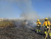 Incendio de caas y matorral en Ceut