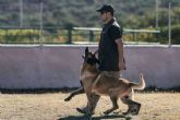 Curso de Adiestrador Canino Profesional, con la escuela de adiestramiento Monte Ida