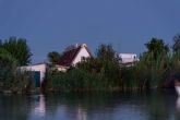 Paseos en barca por la Albufera desde El Palmar con Albumar