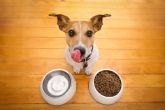 Alimentar correctamente a perros con pieles sensibles, con NaturWild