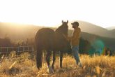 Una travesa de 100 das a caballo para conocer el problema de los mustang salvajes en EEUU