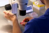 Científicos españoles descubren una técnica para seleccionar los mejores espermatozoides en las fecundaciones in vitro