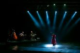 El Comit de Iniciativa 'Andaluca: Historia y Civilizacin' concluye con xito la 'Noche Flamenca'