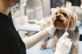 Un centro para profesiones relacionadas con mascotas, Campus Alianz Formacin