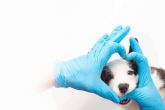 Salud y bienestar animal de la mano de Clnica Veterinaria Legans Norte