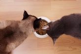 Era Pet Food cuenta con pienso para gatos adultos de alta calidad