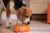 Dogfy Diet, alimentacin natural para perros elaborada por expertos