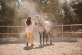 Son Cavalls ofrece coaching asistido de caballos para personas individuales