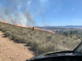 Incendio forestal en Javalí Nuevo