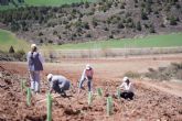 Las mujeres son mayora en Grupo Gesforma