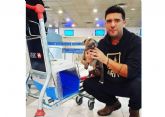 Pet World Travel, una gran solucin para el transporte de mascotas a nivel nacional e internacional